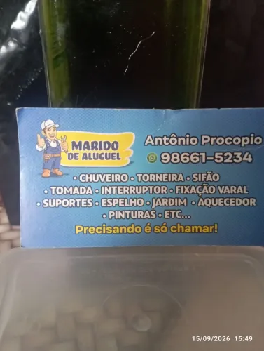 Marido de aluguel etc