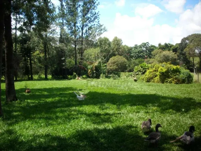 Chácaras/Imóveis Rurais RanchoSítio em Ribeirão Preto