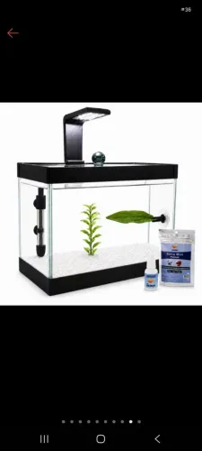 Mini aquário 2 litros para peixe Betta