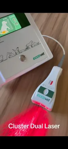 Vendo aparelho Eccovet Digital ( veterinário) sem uso. NÃO ENTREGO