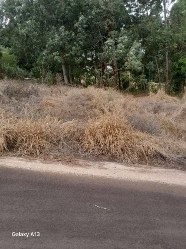 Terreno