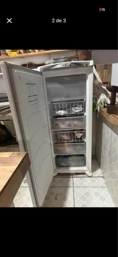 Freezer Consul 110