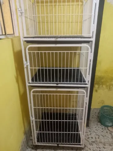 Canil para cães não faço entregas