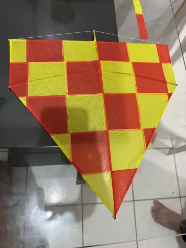 Vendo papagaio