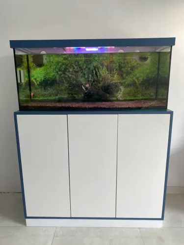 Vendo lindo aquário 