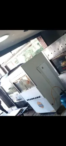 Máquina de frango Roda gigante a melhor