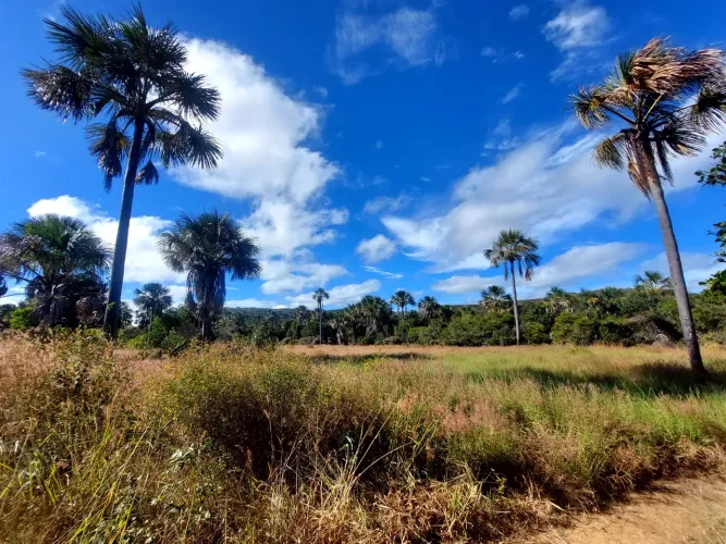 Sítio 3 alqueires terra úmida e região tranquila com documentação e aceita financiamento 