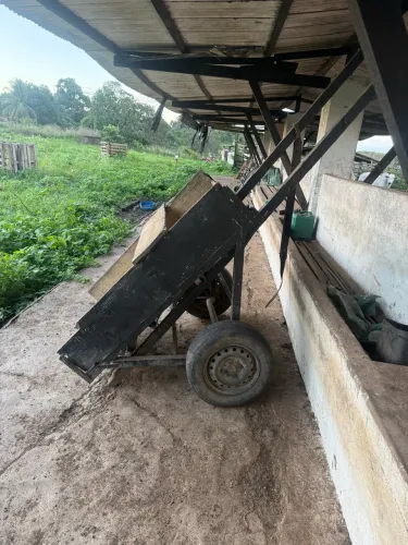 Carroça para capim