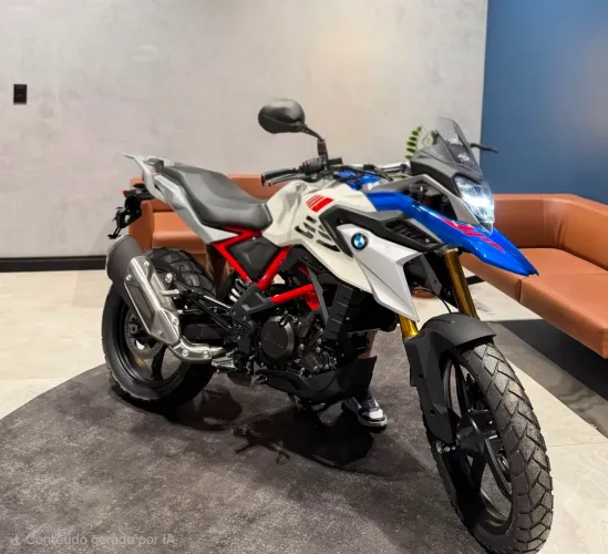 BMW GS 310