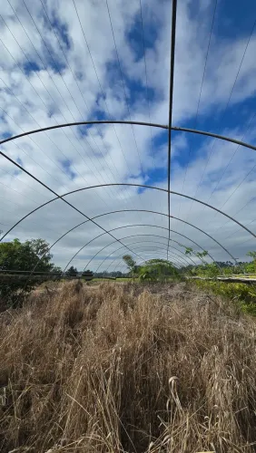 ESTUFA AGRÍCOLA 50x10m