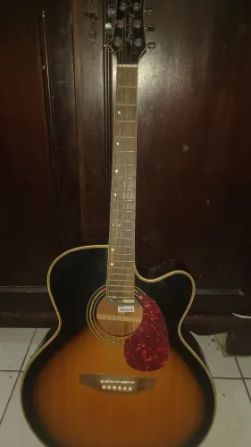 Violão profissional Strimberg