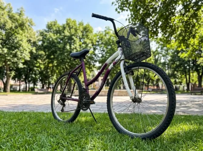 Bicicleta Adulto feminina com Cesta 