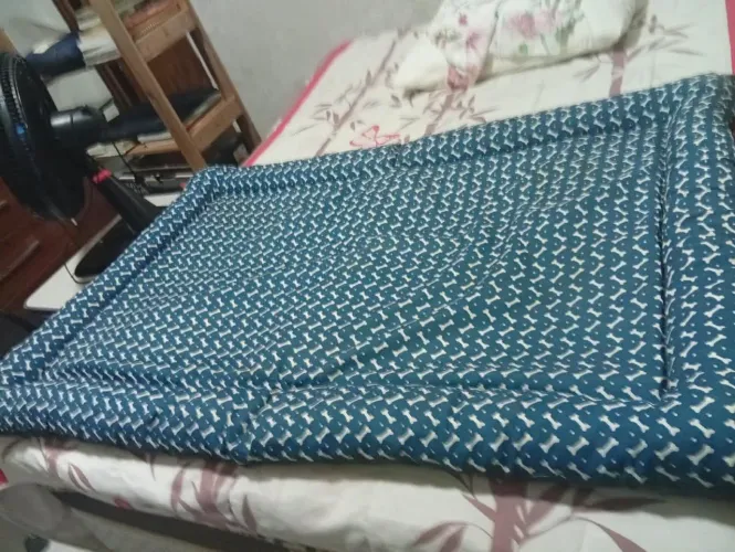 Cama pet