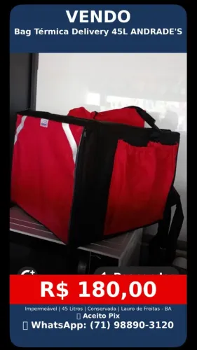 Bag Mochila Térmica Delivery 45Lts