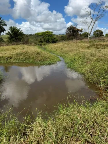 Sítio para Venda em Flexeiras, Zona Rural