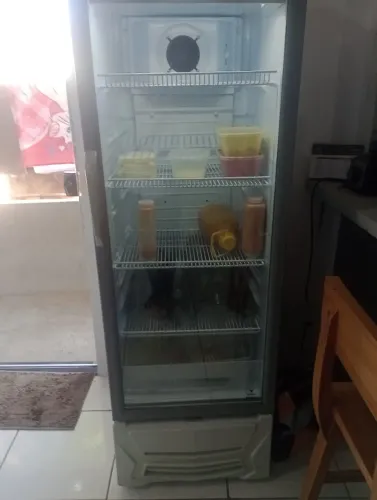 Freezer vertical