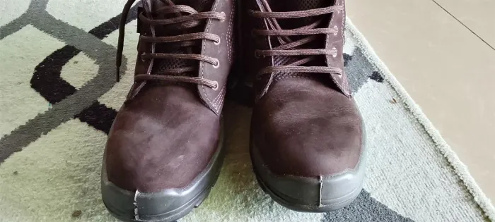 Bota bracol