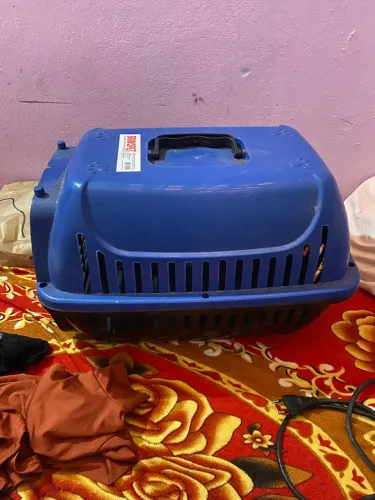 Casinha pra gato