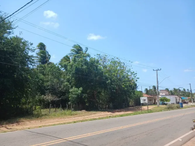 Terreno Praia de Touros (Tourinho) 40.000m². Beira de pista.