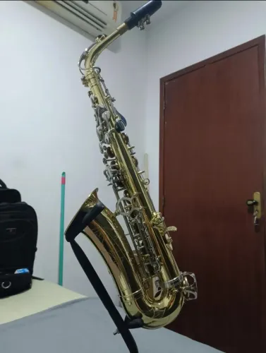 Saxofone alto Shelter 