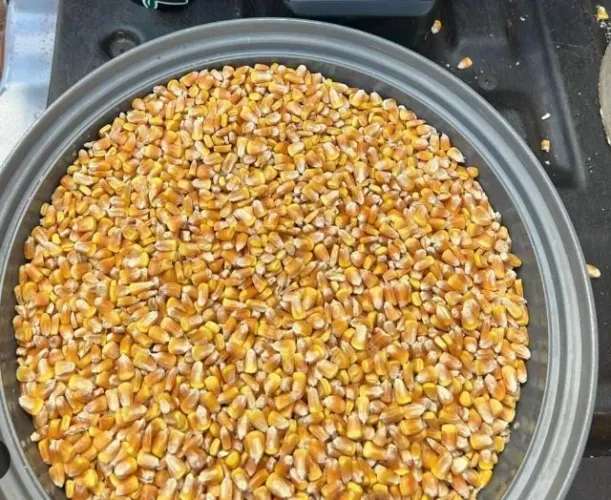 Milho em Grãos ensacado,Farelo de Soja e demais produtos Agricolas Produção Propria