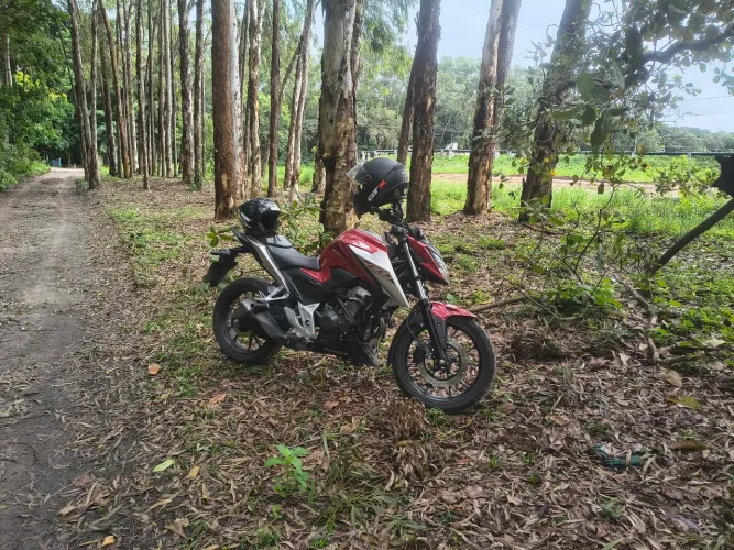 300 F Twister