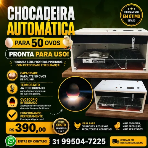 Vendo Chocadeira com para 50 ovos