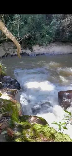 Fazenda de 90 alqueires na região de Senador Amaral MG