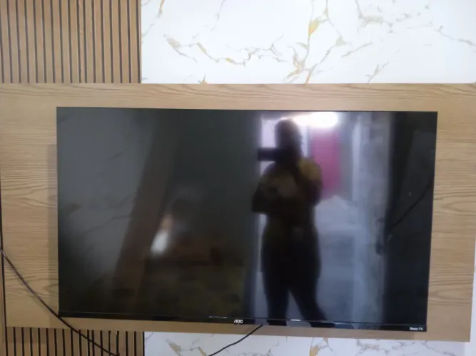 Televisão