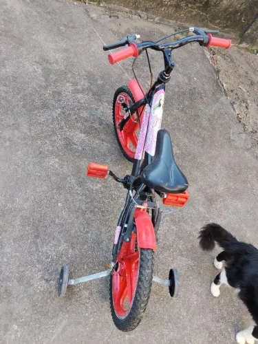 Bicicletas