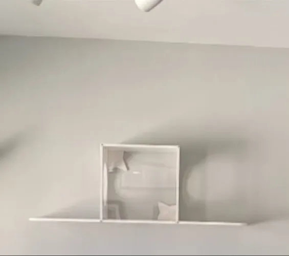 Nicho de parede para gatos marca Allegro Gatto (linha premium)