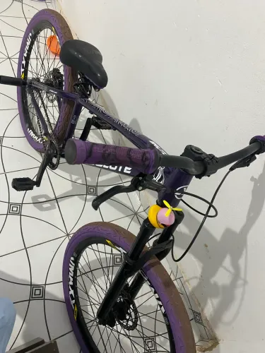 Bicicleta nova