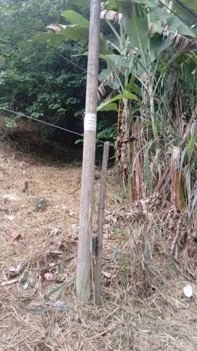 Terreno Pinheiral