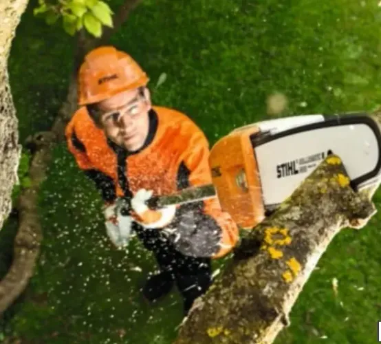 STIHL - MOTOPODA, HT 75 de 30cm