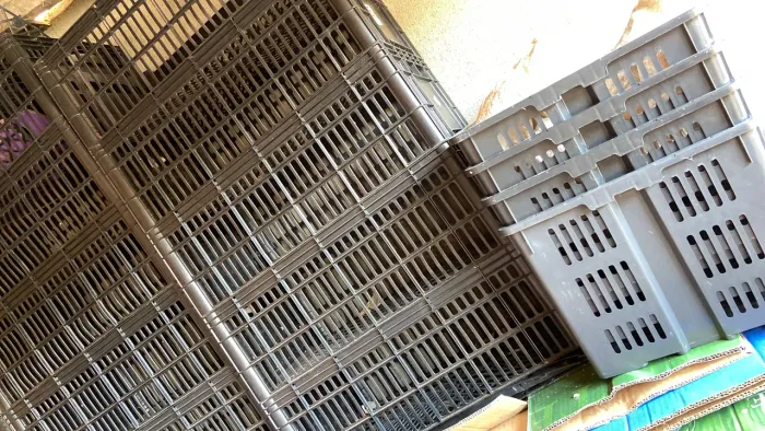 Caixas organizadoras