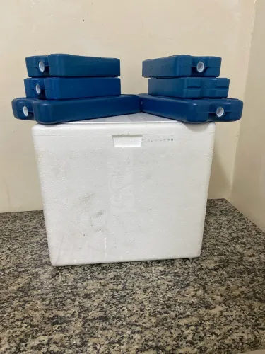 Caixa de isopor + Gelos reutilizável