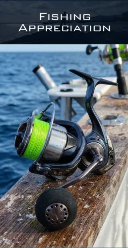 Molinete Bearking Athena 4000 SW