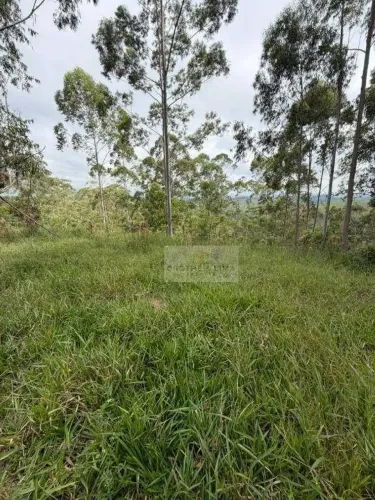 Terreno a venda em Santa Isabel + Bairro Monte Negro