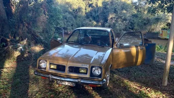 Chevrolet Chevette L / SL / Sl/e / DL / SE 1.6 1985