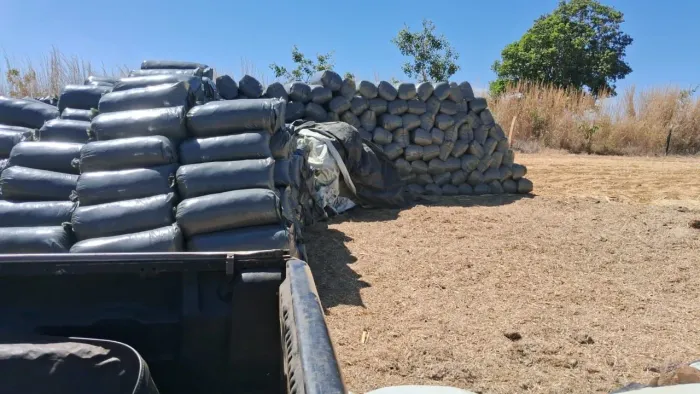 Ração Sorgo Silagem. 15 reais