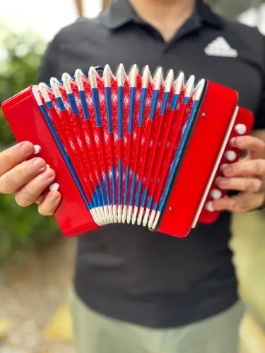 Acordeão Infantil Vermelho e Azul
