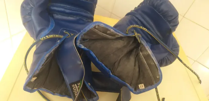 LUVA de Boxe/ Savate 12 Oz, perfeito para treinos e competições, em perfeito Estado.