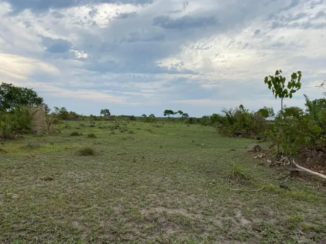 Fazenda a venda em Vale do Araguaia Tocantins!!!