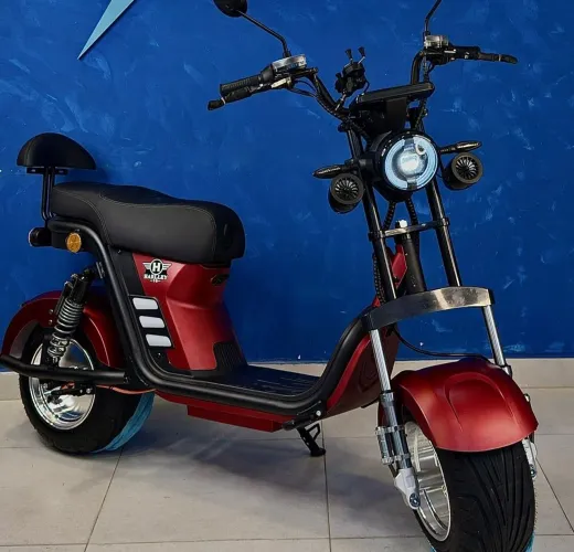 Vendo Harley x16