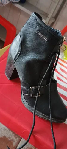 Bota Mississipi, cano curto, salto grosso, com fivela , super estilosa e confortável