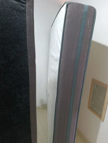 Cama box reconflex