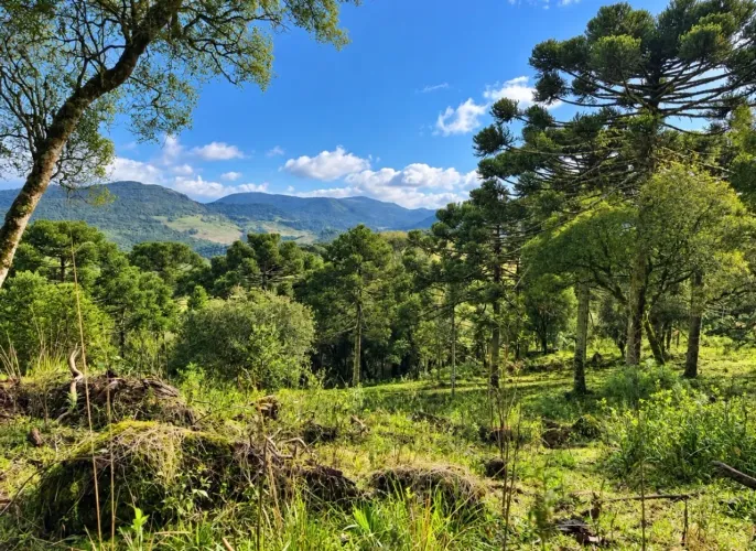Terreno c vista em Urubici - na Montanha ?
