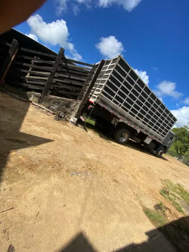 Gado vacas de leite cabras touro pó sondo transporte de animais pra toda região