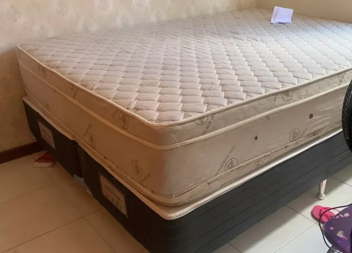 Box Queen Castor / VENDO