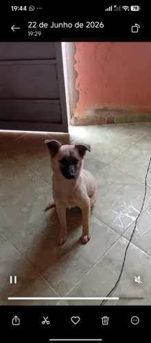 Doação